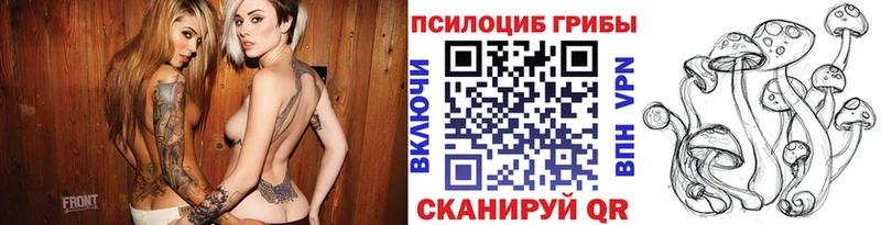 mega tor  Ялта  Псилоцибиновые грибы прущие грибы 